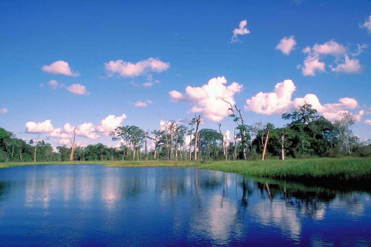 noel-kempff-mercado-national-park-bolivia-s-natural-treasure-lac-geo